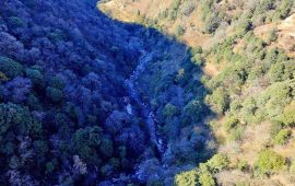 स्थानीय अर्थतन्त्र विकासको लागि आयस्रोतको खोजीमा भूमे गाउँपालिका