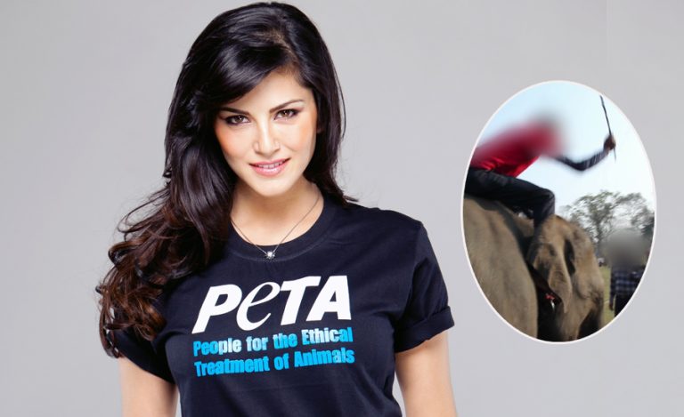 चितवनको हात्ती महोत्सवमा हुने क्रुरताविरुद्ध सन्नी लियोनी : यसको अन्त्य हुनुपर्छ