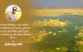 इथियोपियाको ज्वालामुखी र नुनिला ताल