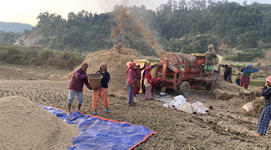 गोरखाका किसानहरू यन्त्रीकरणतर्फ आकर्षित   