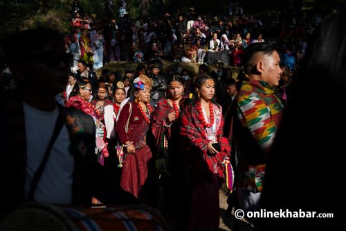 हात्तीवनमा उधौलीको हर्षोल्लास (तस्वीरहरू)