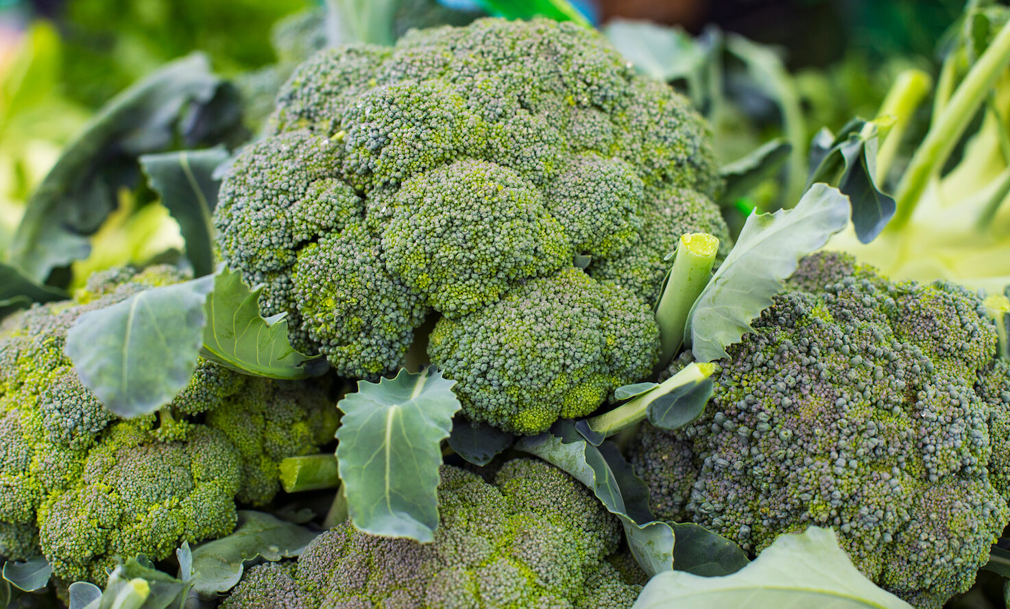 ब्रोकाउली किलोमा ४१ रुपैयाँ घट्यो