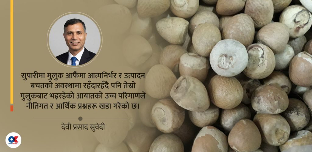 कागजमा फल्ने सुपारीको अर्थशास्त्र : नीतिगत विचलनदेखि कूटनीतिक दरारसम्म