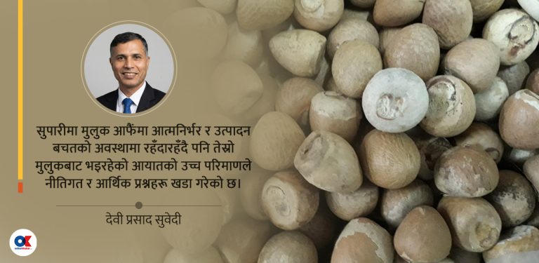 कागजमा फल्ने सुपारीको अर्थशास्त्र : नीतिगत विचलनदेखि कूटनीतिक दरारसम्म