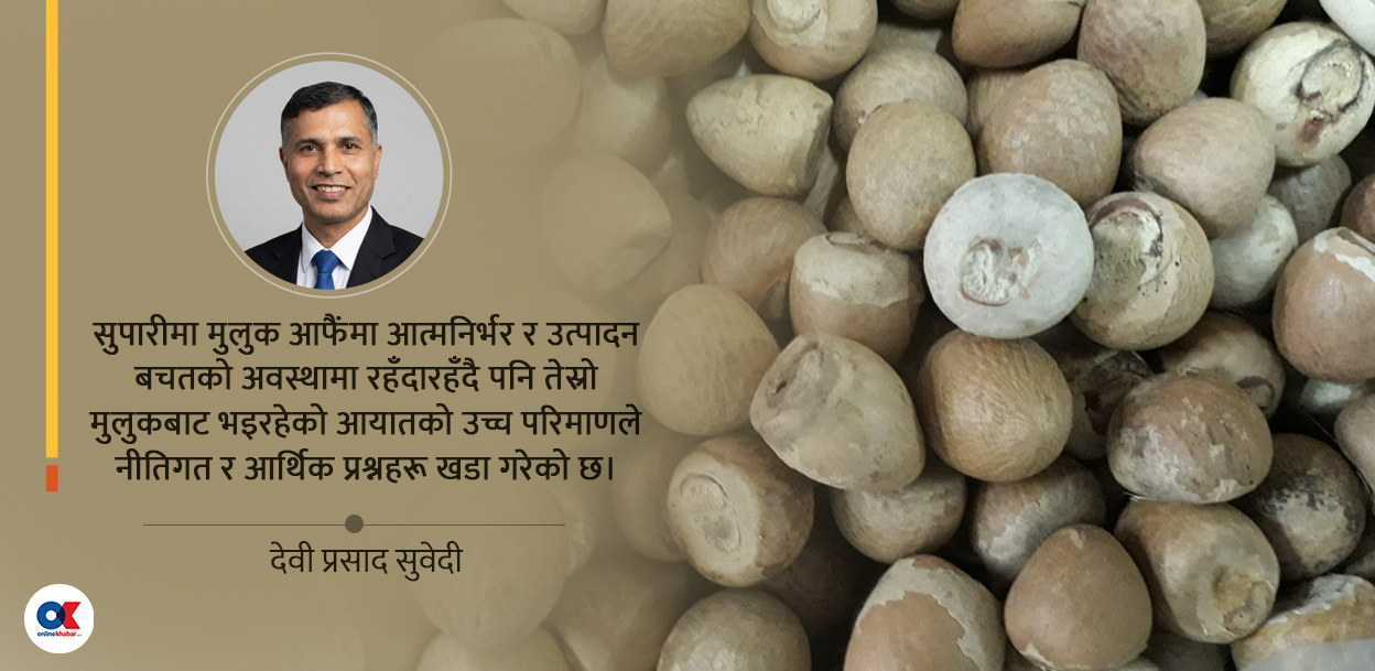 कागजमा फल्ने सुपारीको अर्थशास्त्र : नीतिगत विचलनदेखि कूटनीतिक दरारसम्म