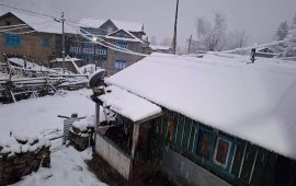 डोल्पामा फेरि हिमपात, जनजीवन प्रभावित