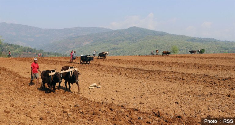 समर्थन मूल्य र बजारमा सरकारको जोड, युवालाई कृषि उद्यमी बनाउन ४० करोड