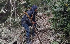 पाल्पामा टिप्पर दुर्घटना हुँदा चालकको मृत्यु