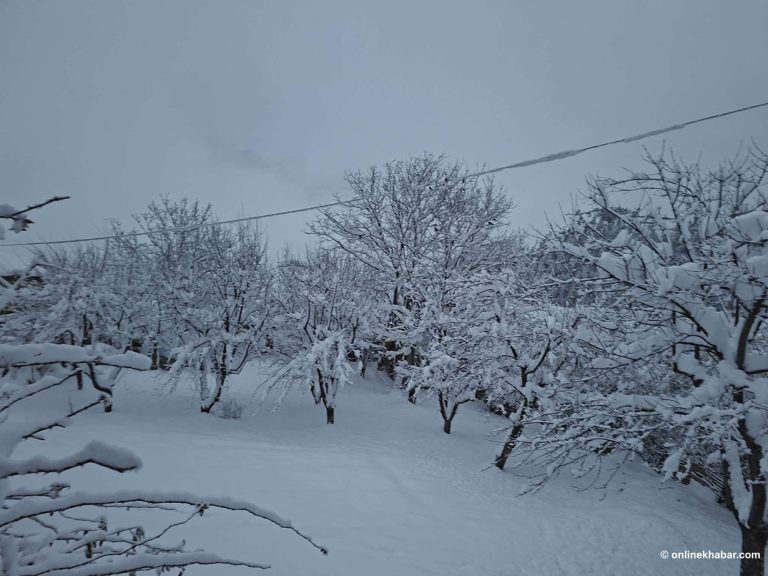 हुम्लामा फेरि हिमपात सुरु (तस्वीरहरू)