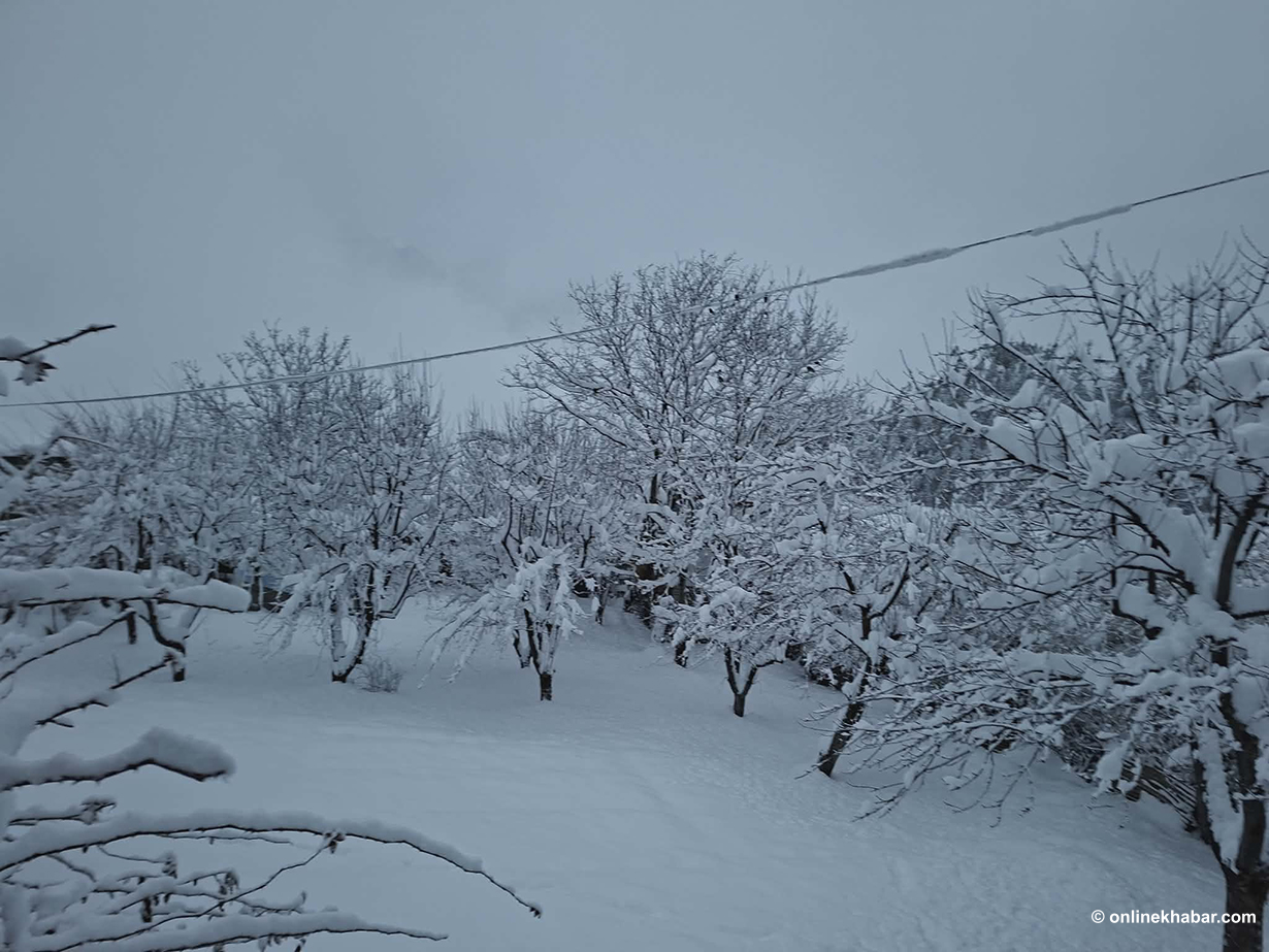 हुम्लामा फेरि हिमपात सुरु (तस्वीरहरू)