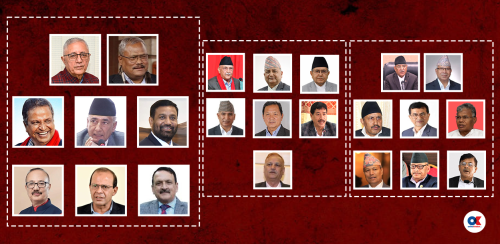 ४९८ ज्येष्ठ नागरिक चुनावमा भिड्दै