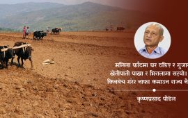 राजनीतिले बिर्सेको खेतीपाती र नवयुवाको भविष्य