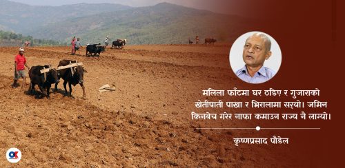 राजनीतिले बिर्सेको खेतीपाती र नवयुवाको भविष्य