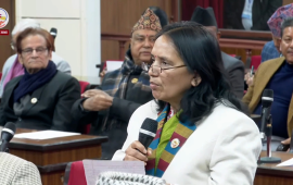 सामाजिक सञ्जालबाट चुनावबारे गलत सन्देश दिने उम्मेदवारलाई कारबाही गर्नुपर्छ : मदनकुमारी साह