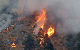 १३ वर्षमा १३ हजार बढी वन डढेलोका घटना