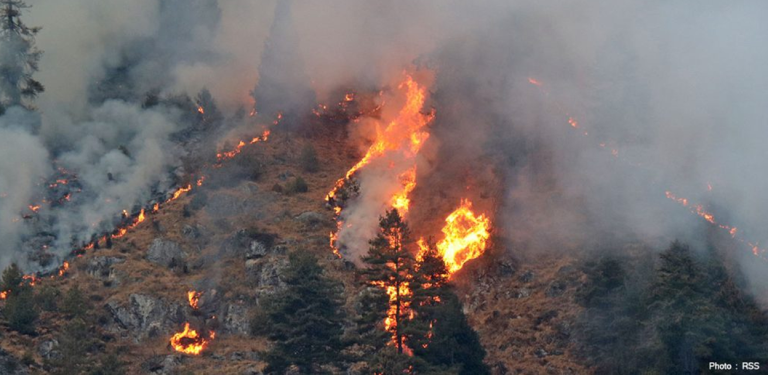 १३ वर्षमा १३ हजार बढी वन डढेलोका घटना