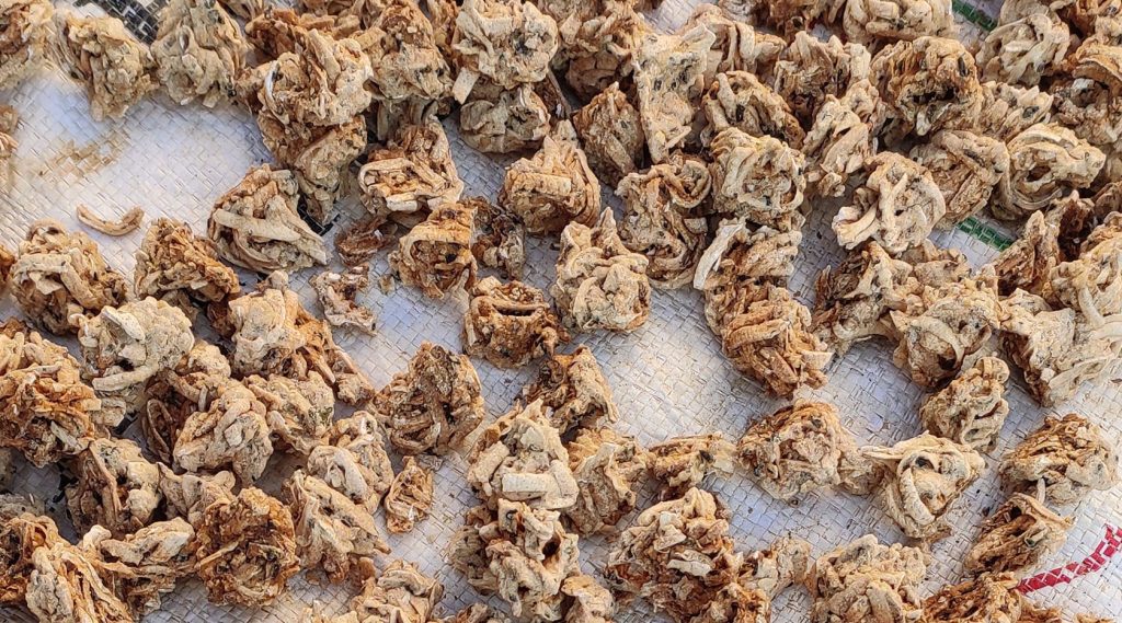 मस्यौरामा सरकारको नयाँ गुणस्तर : भटमास र अन्न मिसाउन प्रतिबन्ध, प्रोटिन १५ प्रतिशत अनिवार्य