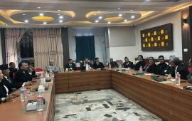 कांग्रेस समर्थित कानुन व्यवसायीको निष्कर्ष- महामन्त्रीलाई कार्यसमितिको निर्णय स्थगित गर्ने अधिकार हुँदैन