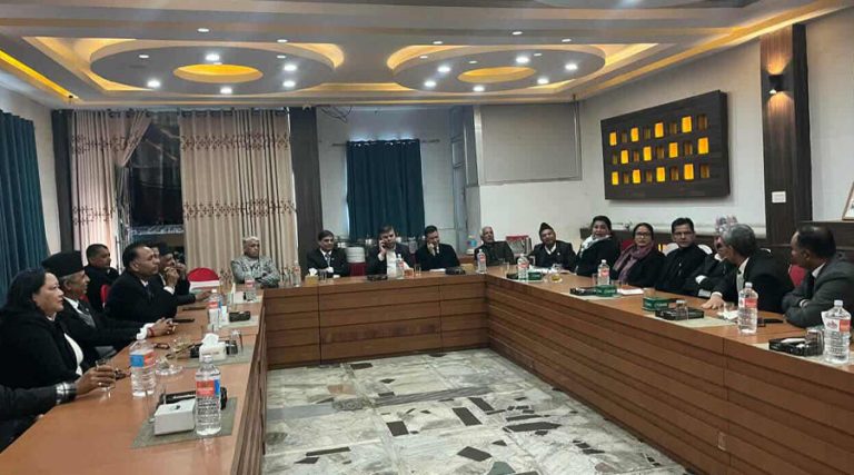 कांग्रेस समर्थित कानुन व्यवसायीको निष्कर्ष- महामन्त्रीलाई कार्यसमितिको निर्णय स्थगित गर्ने अधिकार हुँदैन