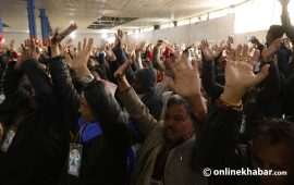 गगन-विश्वले पेश गरेका दुवै प्रतिवेदन पारित