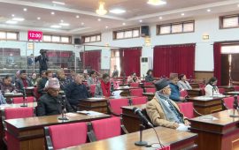 सार्वजनिक नीति तथा प्रत्योजित विधायन समितिको प्रतिवेदन राष्ट्रिय सभामा पेश