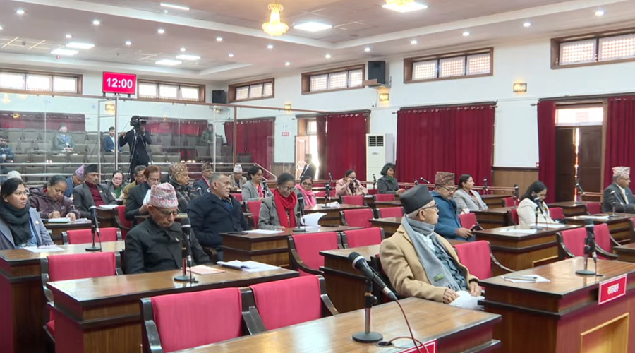 राष्ट्रिय सभामा विकास, आर्थिक मामिला तथा सुशासन समितिको वार्षिक प्रतिवेदन पेश