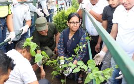 ‘भरतपुरको मुहार फेरेर बिदा लिंदैछिन् रेनु दाहाल’