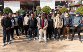 नक्कली ‘वर्क पर्मिट’ देखाएर उठाएका थिए करोडौं रकम