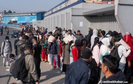 निर्वाचन प्रहरी, ४० दिनको रोजगारी (भिडियो)