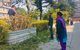 सिंहदरबारभित्र सरसफाइ (तस्वीरहरू)