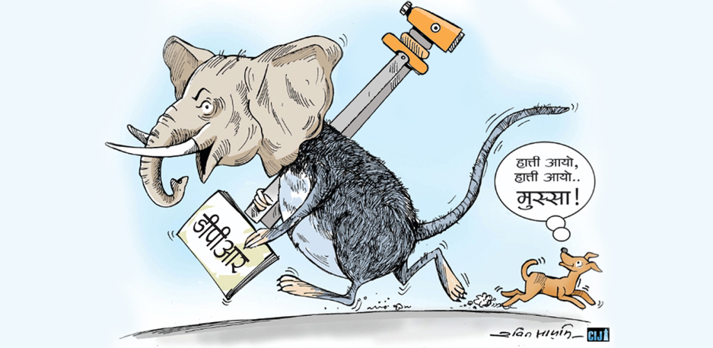 स्थानीय तह : डेढ अर्ब डीपीआरमै, खोज्दा अभिलेख भेटिंदैन