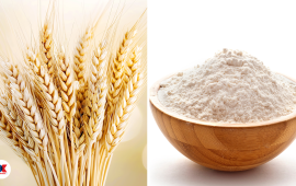 गहुँ आयात : रित्तो कोटा, महँगो बजार