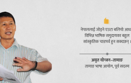 राष्ट्रिय एकताको प्रतीक बन्न सक्छ : तापकेन्द्रित चाडपर्व