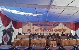 निगमलाई आधुनिक र वातावरणमैत्री ऊर्जाको केन्द्र बनाउनुपर्छ : मन्त्री सिन्हा