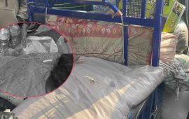 सशस्त्रको गोलीले विजय ढले, परिवारको छानो उजाडियो