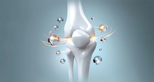 के क्याल्सियम खाँदैमा हड्डी बलियो हुन्छ ?