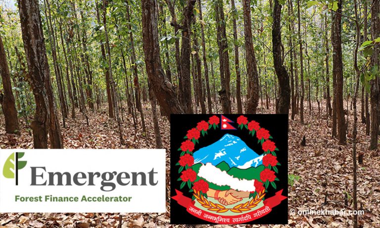 पहिलोचोटि कार्बन बेच्दै नेपाल, वन जोगाएर ८ अर्ब आम्दानी हुने