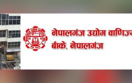 उम्मेदवारसँग दीर्घकालीन रणनीतिक योजना खोज्दै व्यवसायी