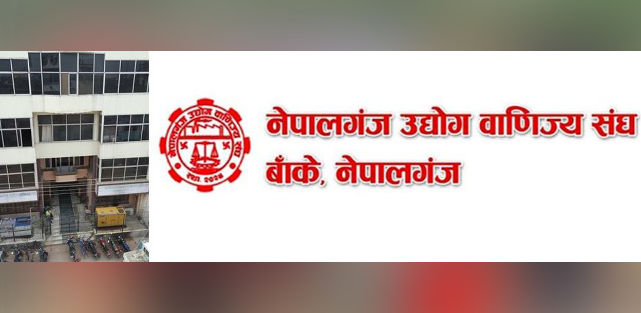 उम्मेदवारसँग दीर्घकालीन रणनीतिक योजना खोज्दै व्यवसायी