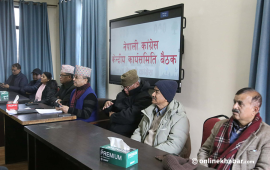 कांग्रेसको १५औं महाधिवेशनको नयाँ तालिका ल्याउने प्रस्ताव अनुमोदन