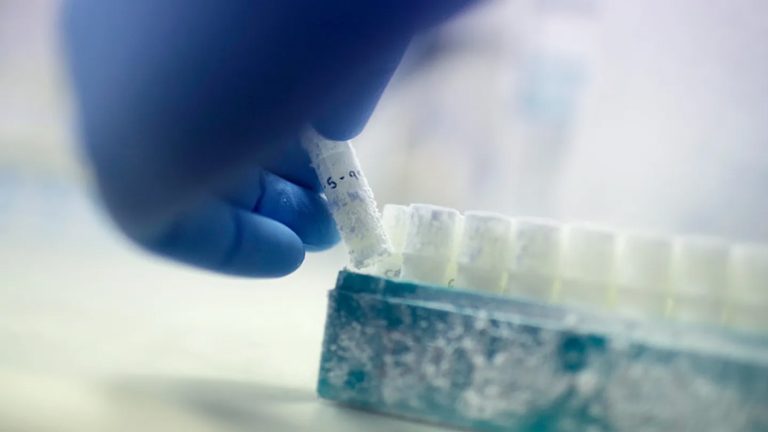 एक यस्तो देश, जहाँका युवकको शुक्रकीट किन्न विश्वभर महिलाको होडबाजी