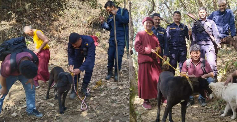 गोदावारी जंगलको भीरमा ४ दिनदेखि फसेको कुकुरको उद्धार