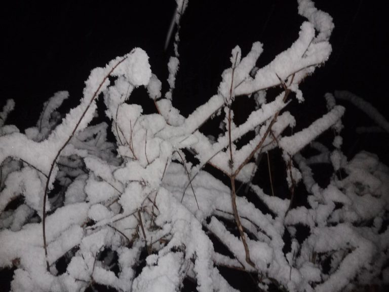 डोल्पामा वर्षासँगै हिमपात (तस्वीरहरू) 