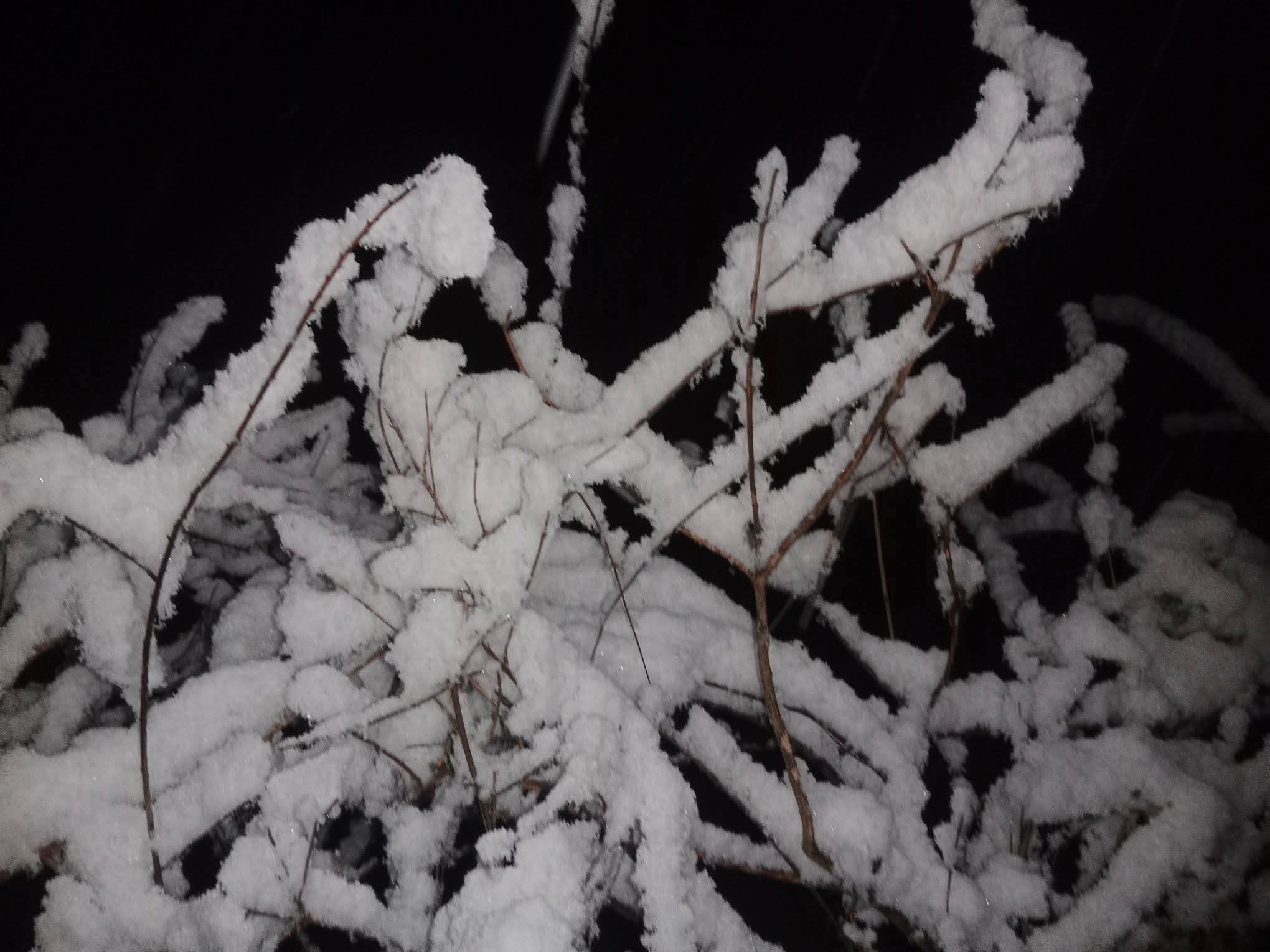 डोल्पामा वर्षासँगै हिमपात (तस्वीरहरू) 