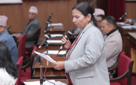 राष्ट्रिय झन्डाको दुरुपयोगबारे राष्ट्रिय सभामा बहस : कारबाही गर्न माग 