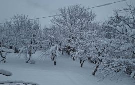 हुम्लामा फेरि हिमपात सुरु (तस्वीरहरू)