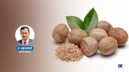 जाइफलका ८ फाइदा र प्रयोग गर्ने तरिका