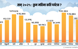 पर्यटक आगमन उच्च कीर्तिमानबाट चुक्यो नेपाल, २०२५ मा भित्रिए ११ लाख ५८ हजार