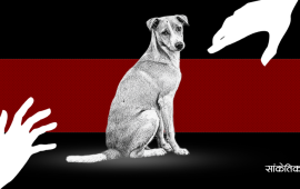 गर्भवती कुकुरलाई स्लिपिङ ट्याब्लेट खुवाउँदै लगातार यौनजन्य दूर्व्यवहार