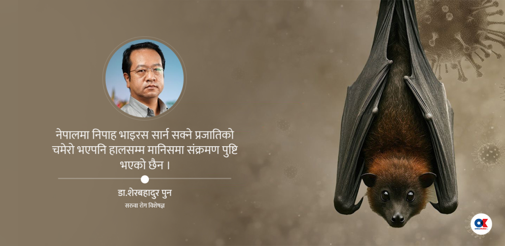 भारतका स्वास्थ्यकर्मीमा निपाह भाइरस संक्रमण, नेपाल कति सुरक्षित ?